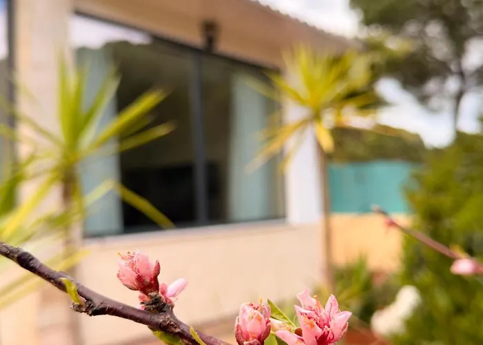 Sueños Сasa de vacaciones *