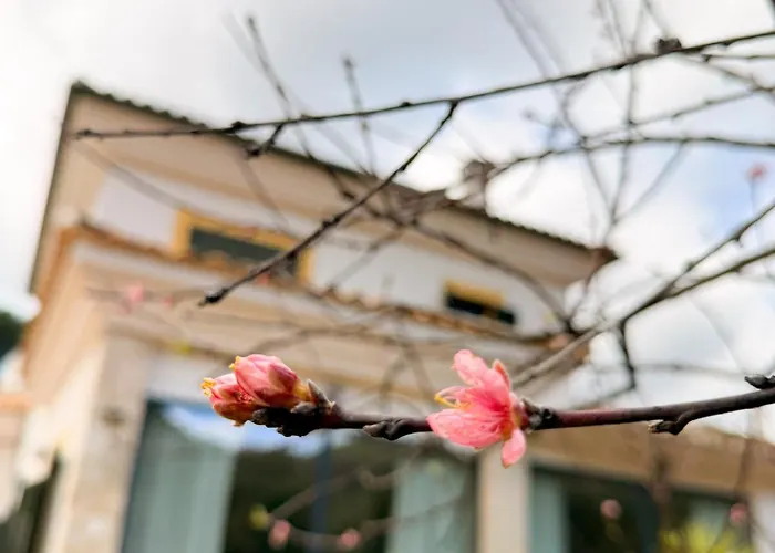 Suenos Holiday home Cordoba